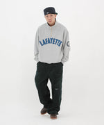LFYT - ARCH LOGO HALFZIP SWEATSHIRT LA250702