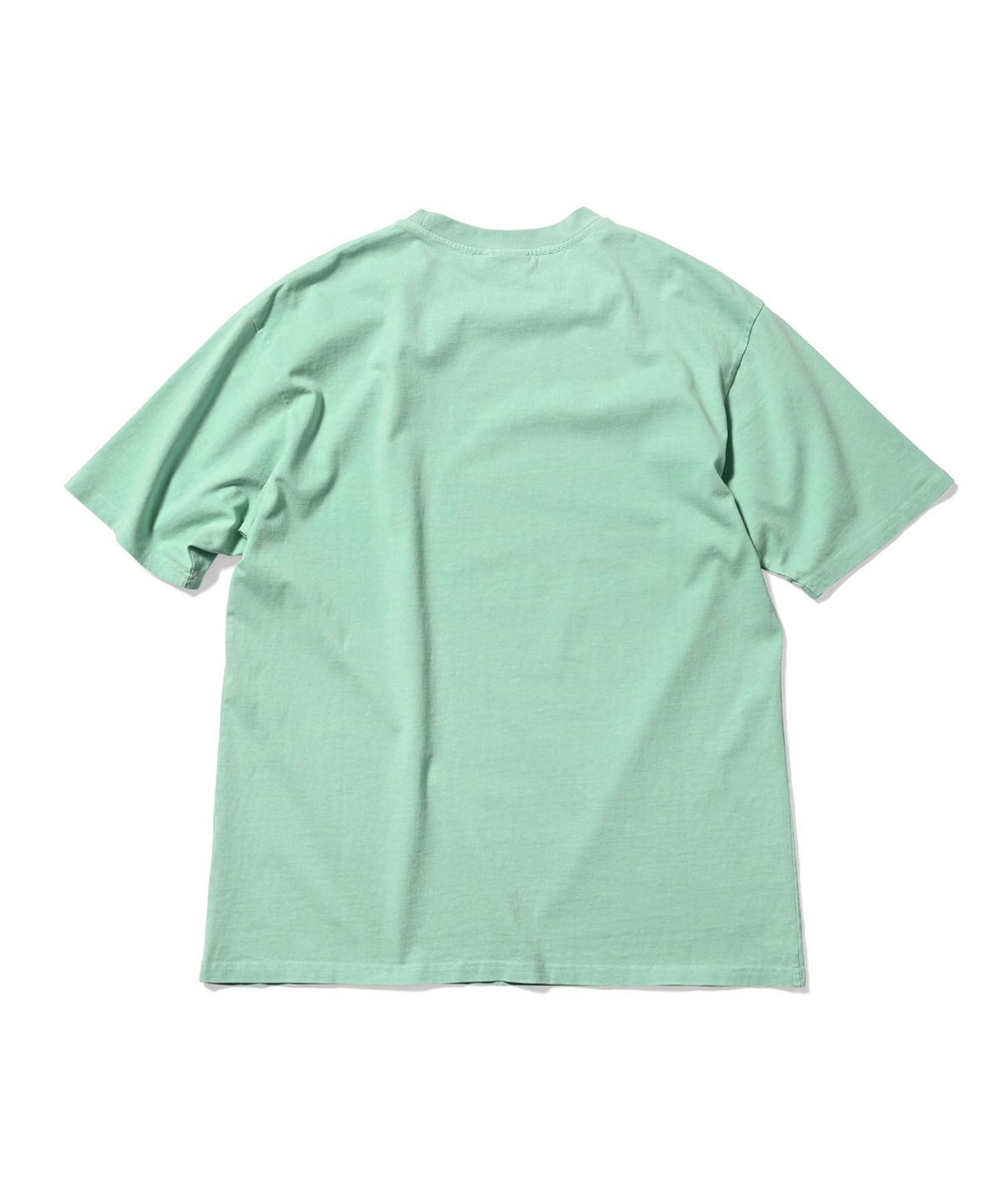 LFYT - PIGMENT DYED INFAMOUS LOGO TEE LS240111