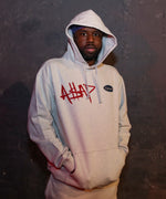 LFYT × A$AP TWELVYY 20th Anniversary HOODIE LE231206